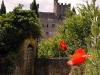 beynac01.jpg