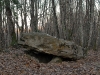 dolmen-bessede.jpg