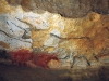 lascaux-ii-grand-taureau.jpg