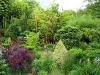 planbuisson.jpg