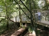 reserve-zoologique-de-calviac1
