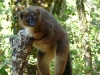 reserve-zoologique-de-calviac4