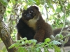 reserve-zoologique-de-calviac7