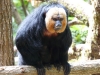 reserve-zoologique-de-calviac8